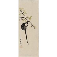 Kitagawa Utamaro: Gibbon Hanging from Branch - Museum of Fine Arts