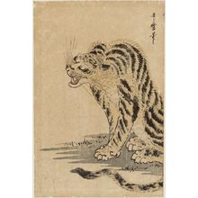 Kitagawa Utamaro: Tiger - Museum of Fine Arts