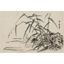 Kitagawa Utamaro: Ducks, Reeds, and Rocks - Museum of Fine Arts