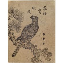 Kitagawa Utamaro: Falcon on Pine Branch - Museum of Fine Arts