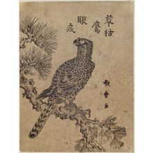 喜多川歌麿: Falcon on Pine Branch - ボストン美術館