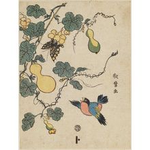 Kitagawa Utamaro: Bird, Gourd Vine, and Butterfly - Museum of Fine Arts