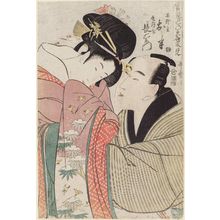 Kitagawa Utamaro: Shinanoya Ohan and Obiya Choemon, from the series True Feelings Compared: The Founts of Love (Jitsu kurabe iro no minakami) - Museum of Fine Arts