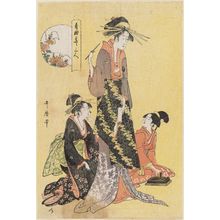 Kitagawa Utamaro: Chrysanthemum, from the series Three Flowers of the Pleasure Quarters (Seirô hana sannin) - Museum of Fine Arts
