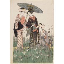 Kitagawa Utamaro: Women in Iris Garden - Museum of Fine Arts