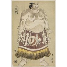 勝川春英: Sumô wrestler Onogawa Kisaburo - ボストン美術館