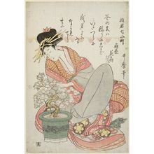 Kitagawa Utamaro: Hanaôgi of the Ôgiya, kamuro Yoshino and Tatsuta, from the series Courtesans as the Seven Komachi (Yûkun Nana Komachi) - Museum of Fine Arts