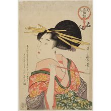 Kitagawa Utamaro: Woman Holding a Pipe, from the series Five Physiognomies of beauties (Bijin go-mensô) - Museum of Fine Arts