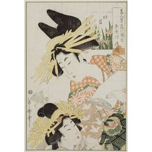 Kitagawa Utamaro: Iris (Kakitsubata): Tsukioka of the Tamaya, from the series Flowers and Beauties Making Their First Appearance (Bijin sôka no kaomise) - Museum of Fine Arts