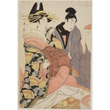 Kitagawa Utamaro: Courtesan and Client - Museum of Fine Arts