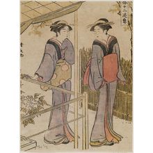 鳥居清長: Viewing Peonies, from the series Twelve Scenes of Popular Customs (Fûzoku jûni tsui) - ボストン美術館