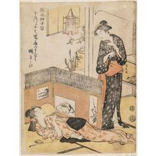 Torii Kiyonaga: Woman Who Dislikes Flies, from the series Humorous Poems of the Willow (Haifû yanagidaru) - Museum of Fine Arts