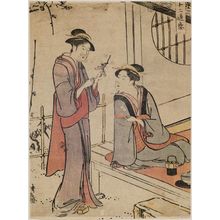 Torii Kiyonaga: Two Women Admiring Plum Blossoms, from the series Twelve Scenes of Popular Customs (Fûzoku jûni tsui) - Museum of Fine Arts