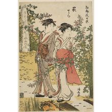 Torii Kiyonaga, 鳥居清長 (Torii Kiyonaga)による浮世絵「Hagidera, from the series Ten Views of the Flowers of Edo (Edo hana jikkei)」