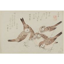 窪俊満: Sparrows, from the series Assorted Storybook Prints (Akahon tsukushi) - ボストン美術館