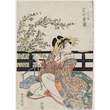 Utagawa Toyokuni I: Actor Iwai Kumesaburô as the Courtesan Takao - Museum of Fine Arts