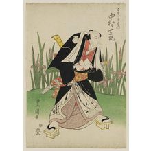Utagawa Toyokuni I: Actor Nakamura Shikan as Hotei Ichiemon - Museum of Fine Arts