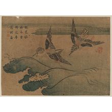 Katsushika Hokusai: Two Birds and Waves - Museum of Fine Arts