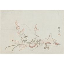 Kikugawa Eishin: Mushrooms and Bush Clover - Museum of Fine Arts