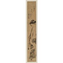 Ishikawa Toyonobu: Young Woman Entering a Bath: Skin Like Snow - Museum of Fine Arts