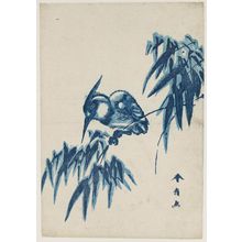 勝川春好: Kingfisher on Bamboo - ボストン美術館