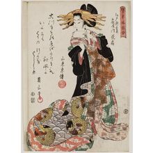 菊川英山: Hanaôgi of the Ôgiya, in the Shin Yoshiwara in Edo, from the series Comparisons of Representative Customs (Tatoegusa fûzoku awase) - ボストン美術館