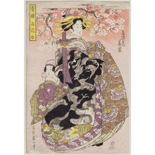 菊川英山: Hanamurasaki of the Tamaya, from the series Comparison of the Famous Flowers of the Pleasure Quarters (Seirô meika awase) - ボストン美術館
