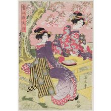 菊川英山: Cherry Blossoms in a Palace Garden in the Modern Style (Tôryû gotei sakura) - ボストン美術館