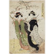 菊川英山: Wind (Kaze), from the series Fashionable Flowers and Birds, Wind and Moon (Fûryû kachô fûgetsu no uchi) - ボストン美術館