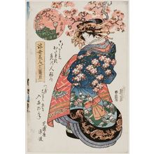 渓斉英泉: Third Month, Cherry Blossoms in the Yoshiwara (Sangatsu, Kuruwa no hana): ... of the Shibauraya, from the series Twelve Months of Beauties of the Floating World (Ukiyo bijin jûnikagetsu) - ボストン美術館