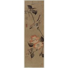 Keisai Eisen: Sparrow and Camellia - Museum of Fine Arts