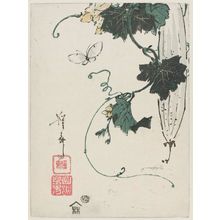 渓斉英泉: Butterfly and Gourd - ボストン美術館