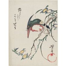 Keisai Eisen: Kingfisher and Wild Chrysanthemum (Nogiku ni kawasemi) - Museum of Fine Arts
