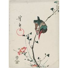 渓斉英泉: Kingfisher and Wild Chrysanthemum - ボストン美術館