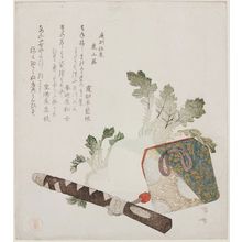 柳々居辰斎: A Turnip from Higashiyama (Higashiyama kabura), from the series A Treatise on Household Wisdeom (Teikin ôrai) - ボストン美術館