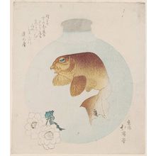 魚屋北渓: Goldfish in Glass Bulb - ボストン美術館