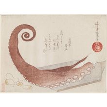 Teisai Hokuba: Tentacle - Museum of Fine Arts