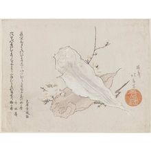 Teisai Hokuba: Dried Fish - Museum of Fine Arts