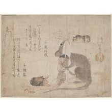 Teisai Hokuba: Rat Eating Dried Foods - Museum of Fine Arts