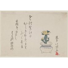 Japanese Print "Potted Adonis Plant" by Tôtei Hokushi