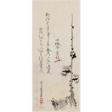 Katsushika Hokuga: Plum Blossoms - Museum of Fine Arts