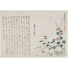 Gomeirô Takigawaによる浮世絵「Morning Glories」