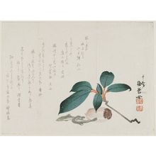 Baigaku-jo: Persimmon branch, trout (symbols of autumn), dried persimmon - ボストン美術館