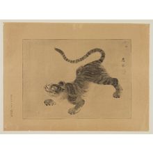 Maruyama Ôkyo: Tiger - ボストン美術館