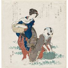 Katsushika Taito II: Women Gathering Herbs - Museum of Fine Arts