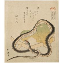 Katsushika Hokusai: Snake and melons. Washo Kurabé (Japanese Books Compared); Choman Shu - Museum of Fine Arts