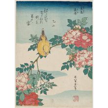 Katsushika Hokusai: Warbler and Roses (Kôchô, bara), from an untitled series known as Small Flowers - Museum of Fine Arts