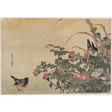Katsushika Hokusai: Bluebirds with Morning Glories and Lespedeza - Museum of Fine Arts
