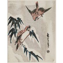 Ritsuen: Sparrows and Bamboo - Museum of Fine Arts