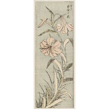 Katsushika Hokusai: Yuri no hana (Single stalk of lilies); From Hokusai Gwaen vol. 3, sheet 